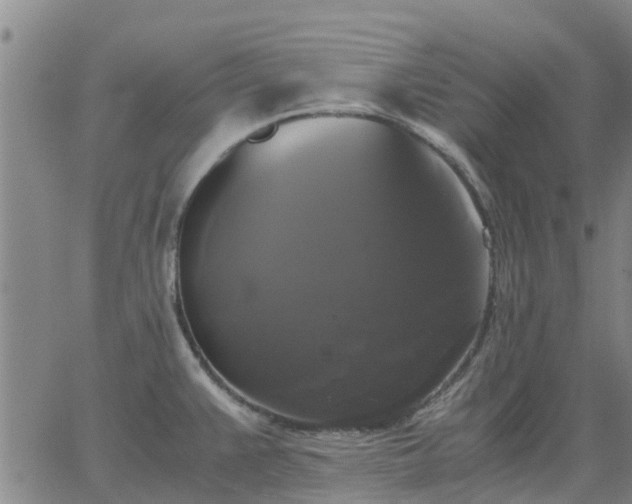 X0000063461383200601271553