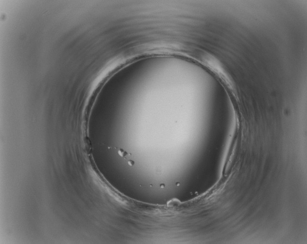 X0000063461384200601271553