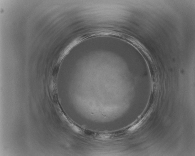 X0000063461385200601271553