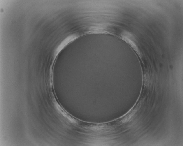 X0000063461386200601271553