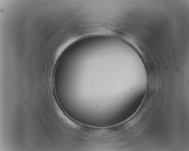 X0000063461387200601271553