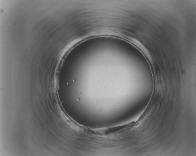 X0000063461388200601271553