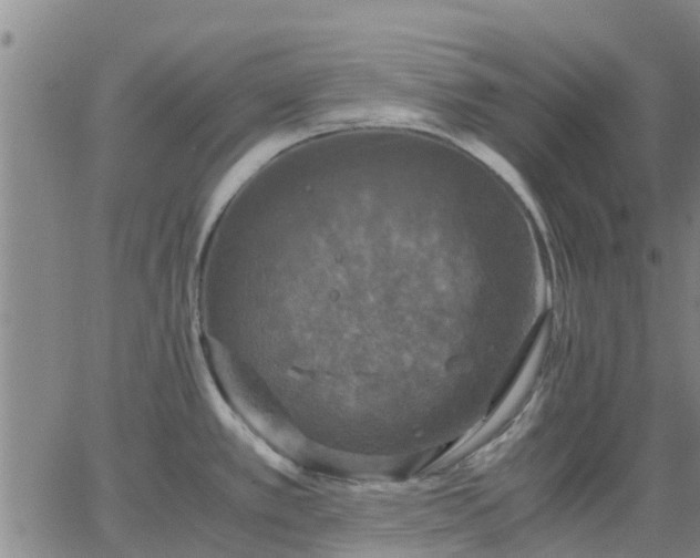 X0000063461389200601271553