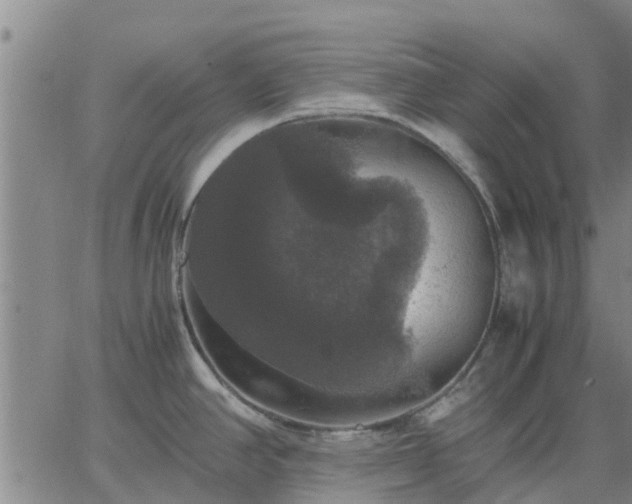 X0000063461390200601271553