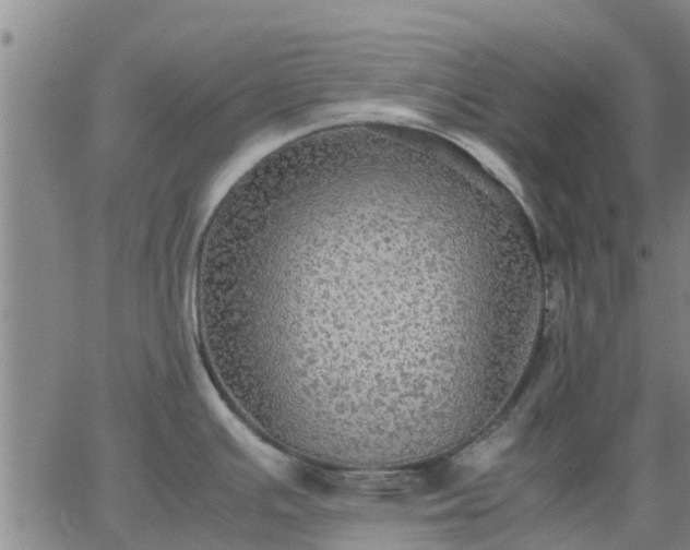 X0000063461391200601271553