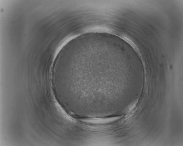 X0000063461392200601271553