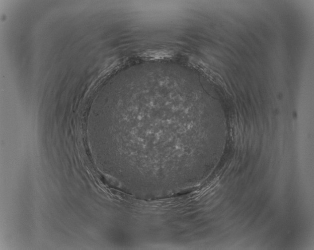 X0000063461393200601271552