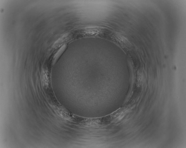 X0000063461394200601271552