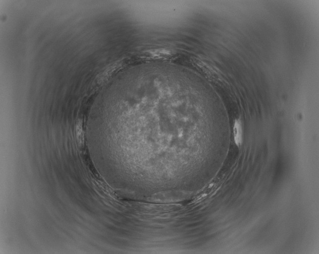 X0000063461395200601271552