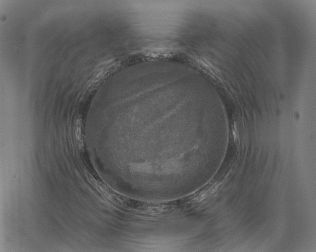 X0000063461396200601271552