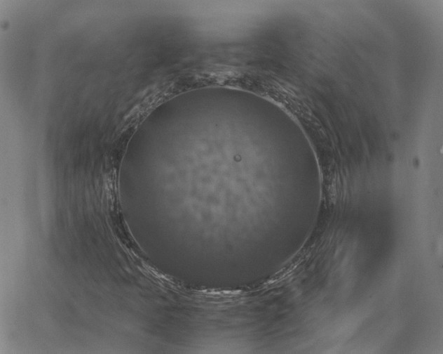 X0000063461397200601271552