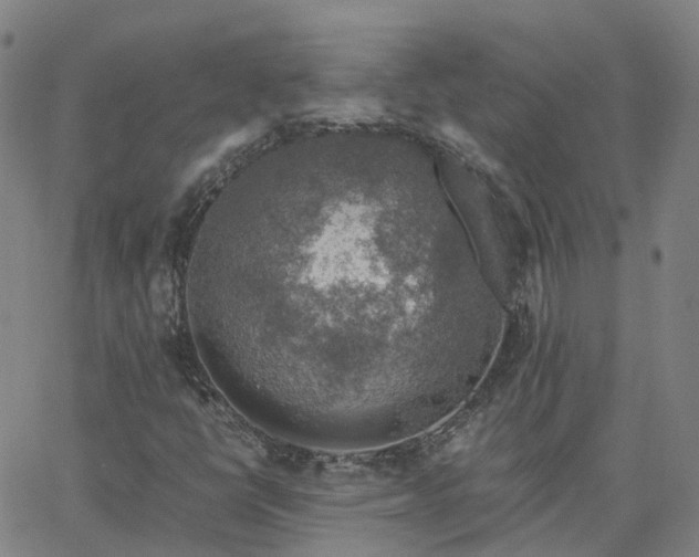 X0000063461398200601271552