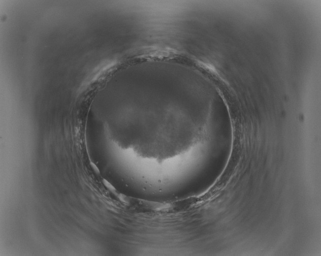 X0000063461399200601271552