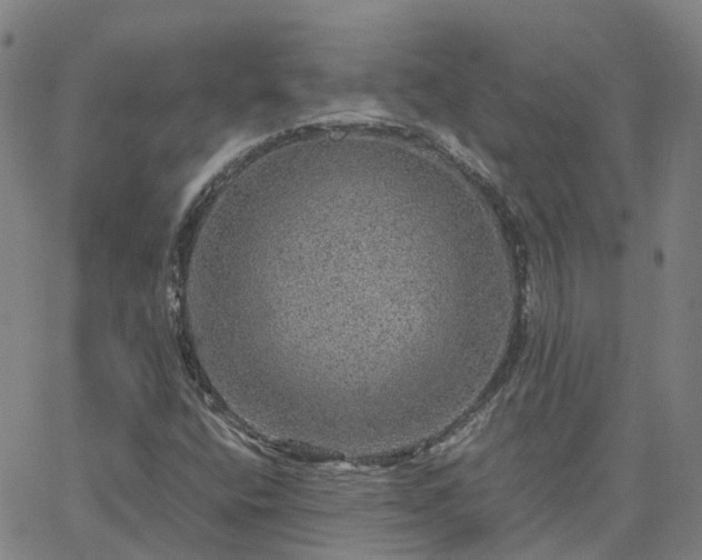 X0000063461400200601271552