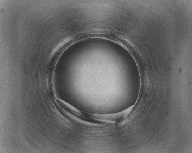 X0000063461402200601271552