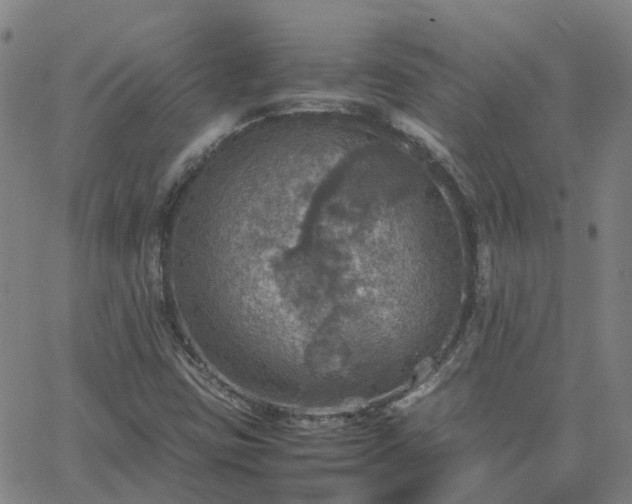 X0000063461403200601271552