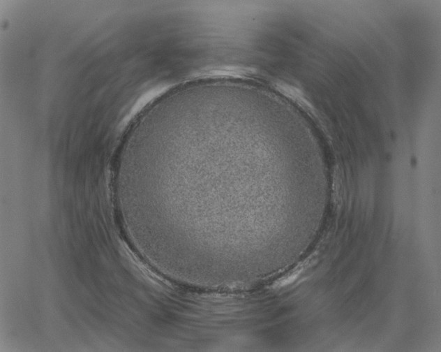 X0000063461404200601271552