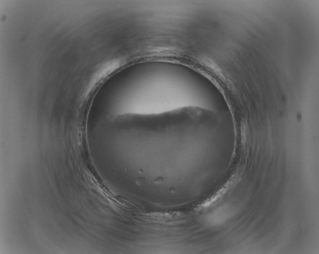 X0000063461405200601271552