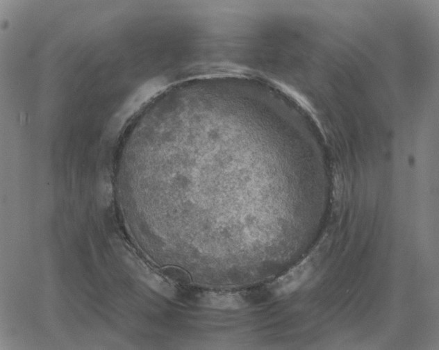 X0000063461407200601271553