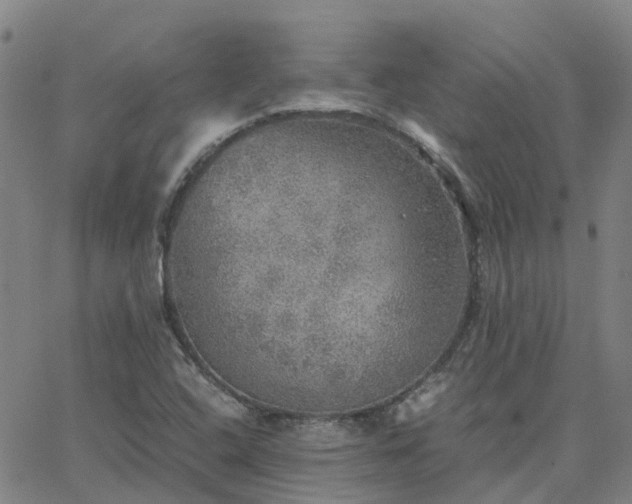 X0000063461408200601271553