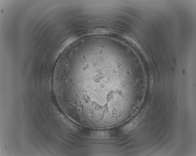 X0000063461409200601271553