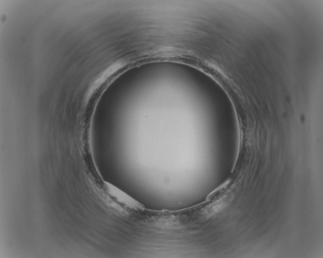 X0000063461410200601271553