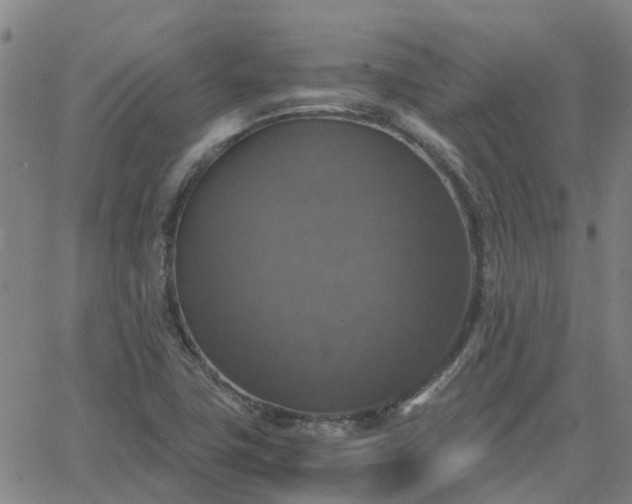 X0000063461411200601271553