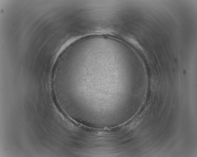 X0000063461412200601271553