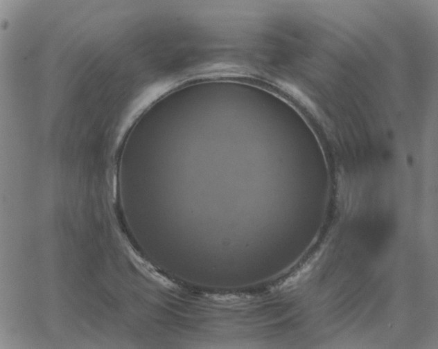 X0000063461413200601271553