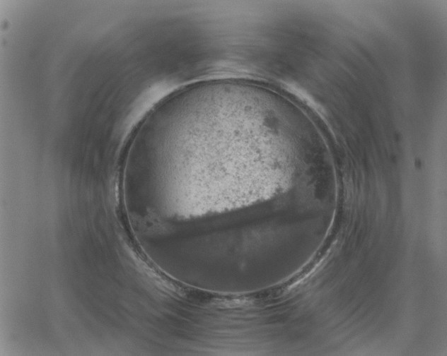 X0000063461415200601271553