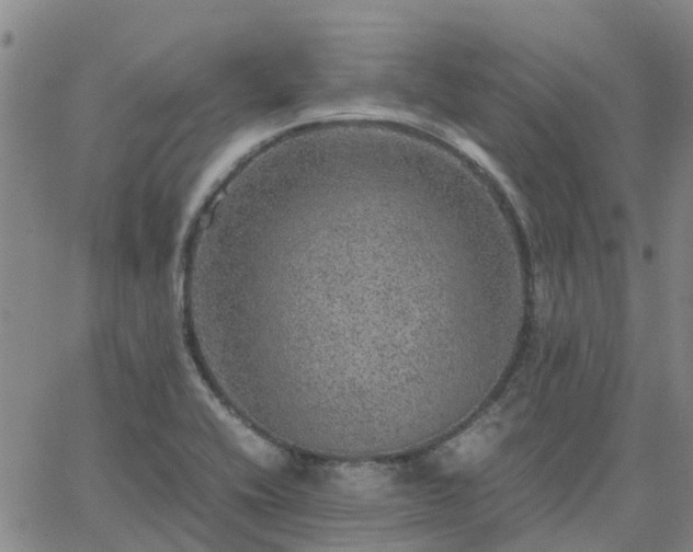 X0000063461416200601271553