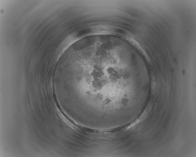 X0000063461417200601271553