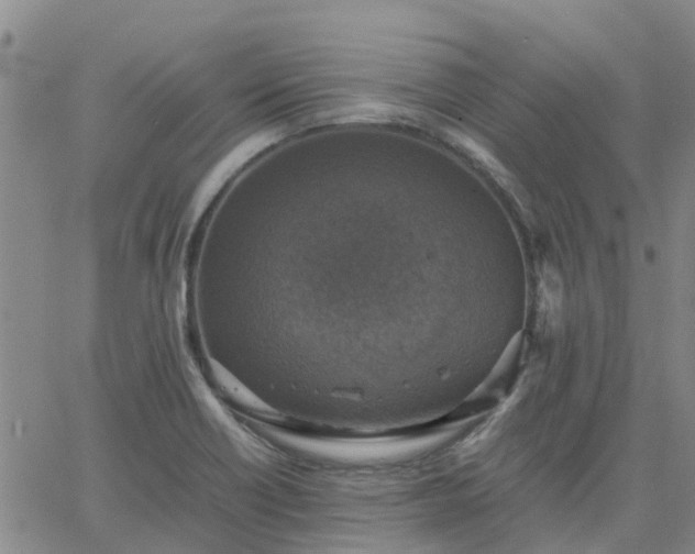 X0000063461418200601271553