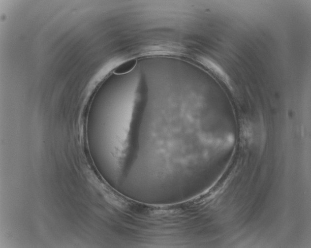 X0000063461419200601271553