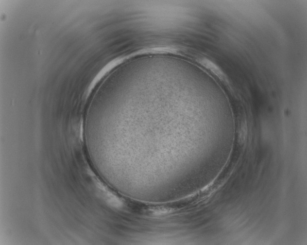 X0000063461420200601271553