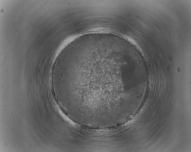 X0000063461421200601271553