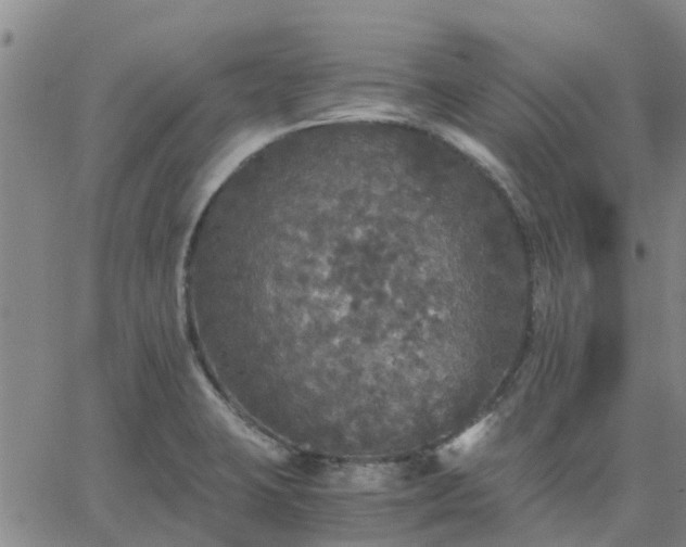 X0000063461423200601271553