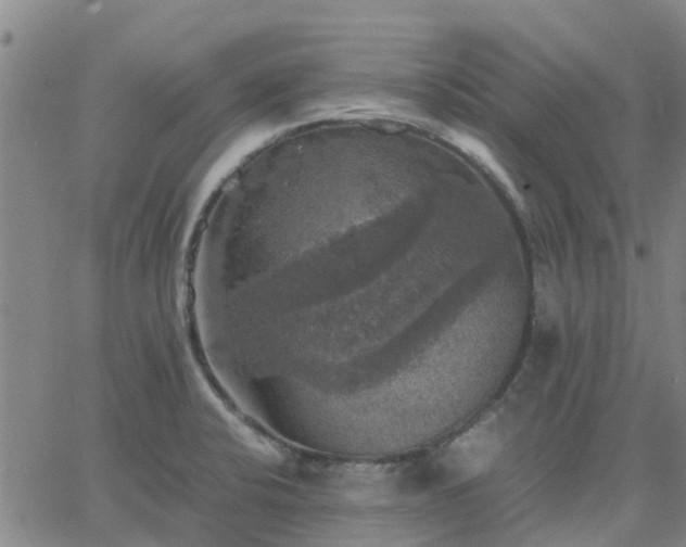 X0000063461424200601271553