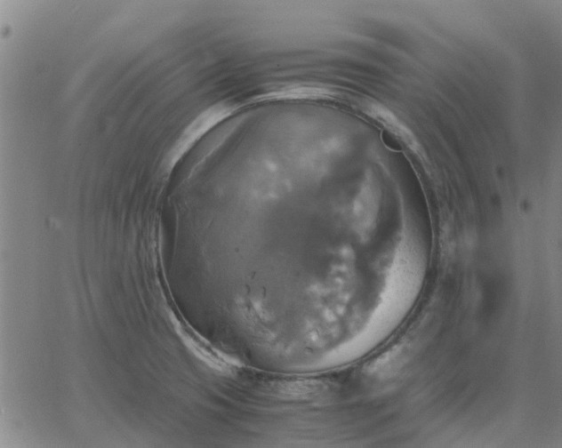 X0000063461425200601271553