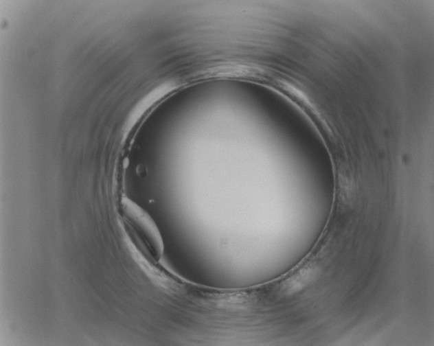 X0000063461426200601271553