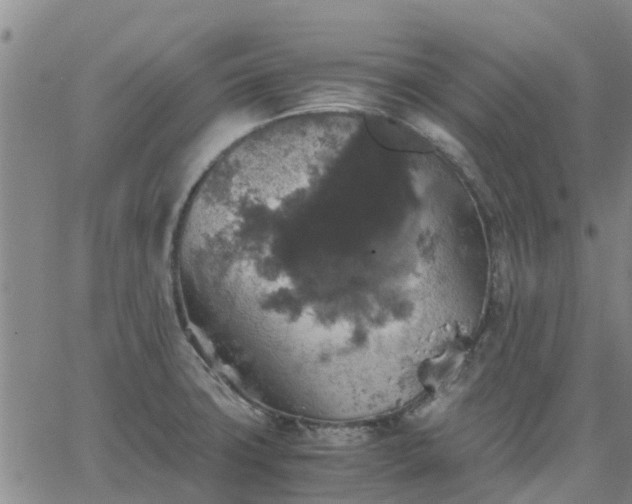 X0000063461427200601271553