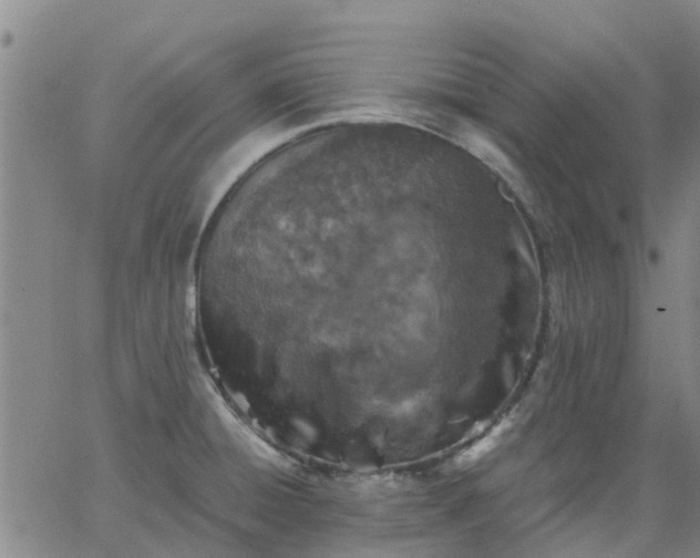 X0000063461428200601271553