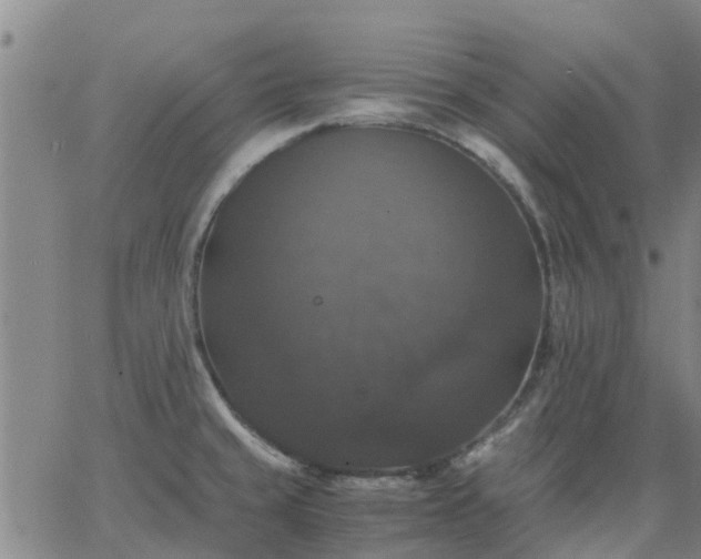 X0000063461429200601271553