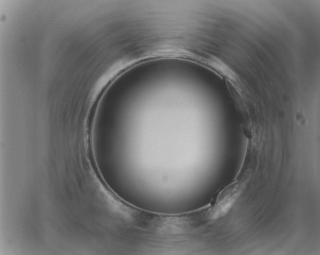 X0000063461430200601271553