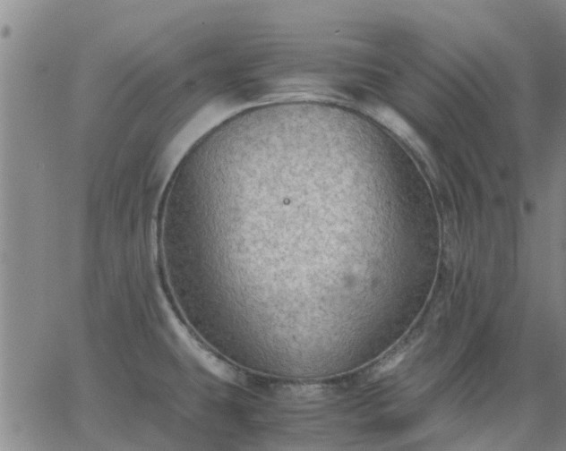 X0000063461431200601271553