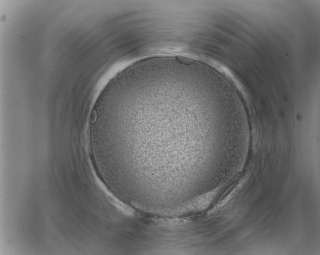 X0000063461432200601271553