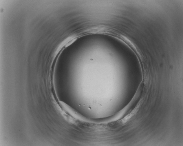 X0000063461434200601271553