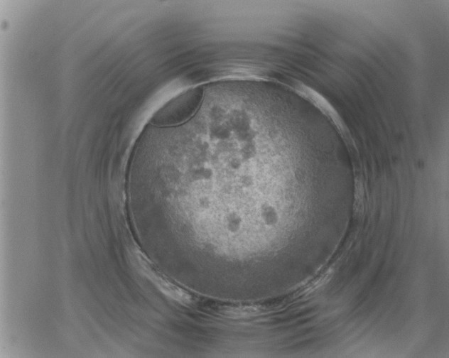 X0000063461435200601271553