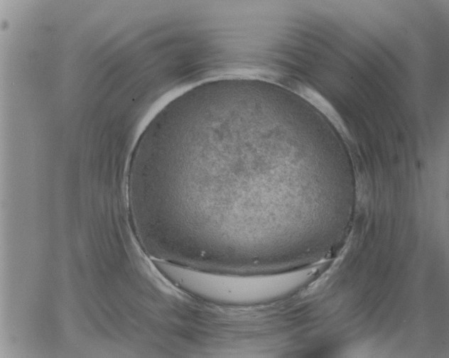 X0000063461436200601271553