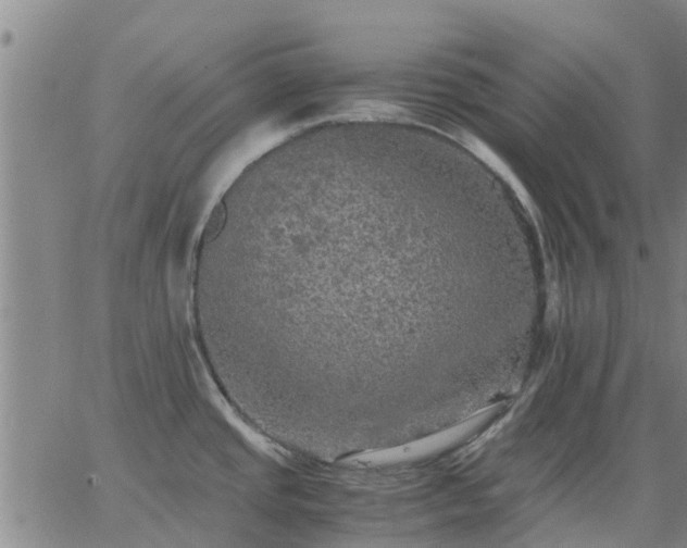 X0000063461437200601271553